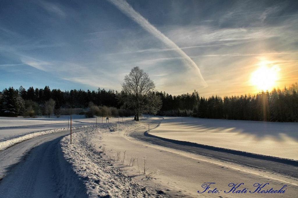 Hotel Schaefflerhof Bischofsmais Bagian luar foto